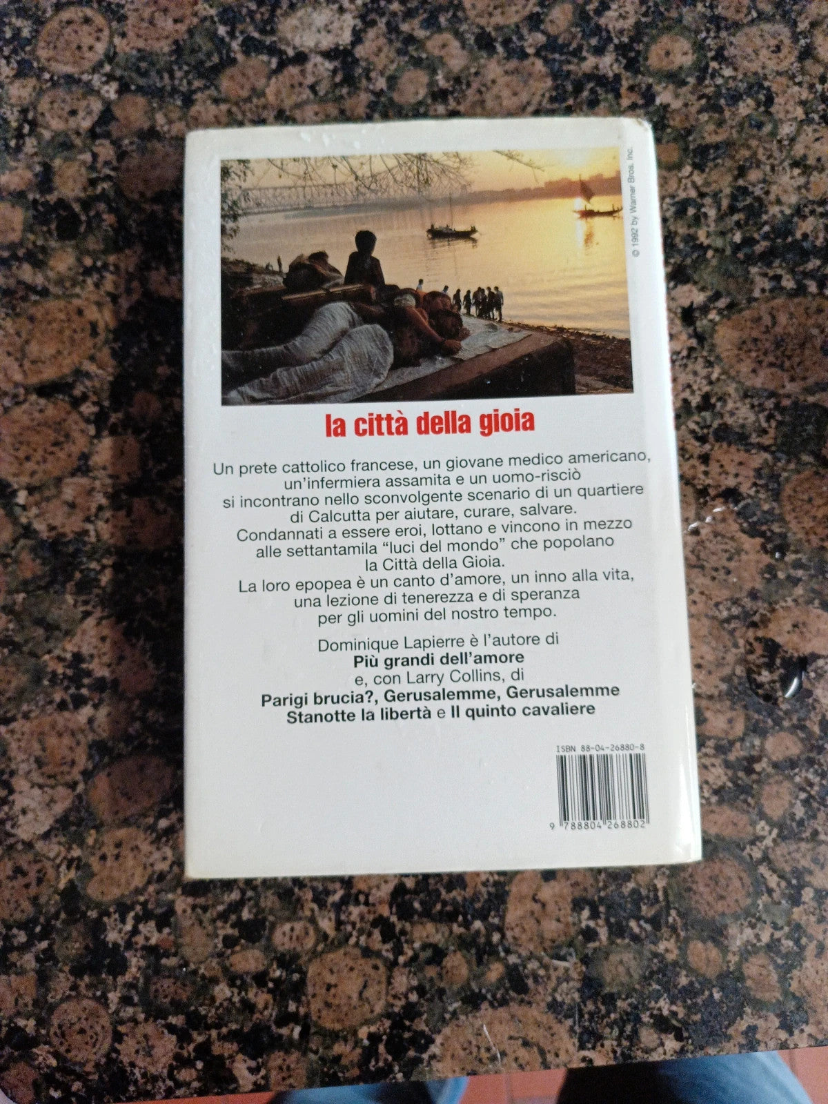 Romanzo libro della gioia