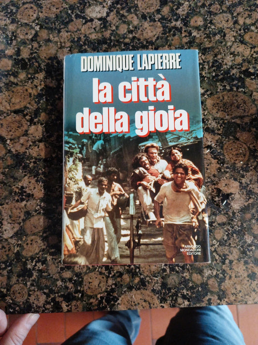 Romanzo libro della gioia